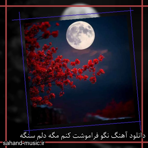 دانلود آهنگ نگو فراموشت کنم مگه دلم سنگه