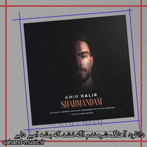 دانلود آهنگ شرمندم اگه نشد که بشه امیر دلیر