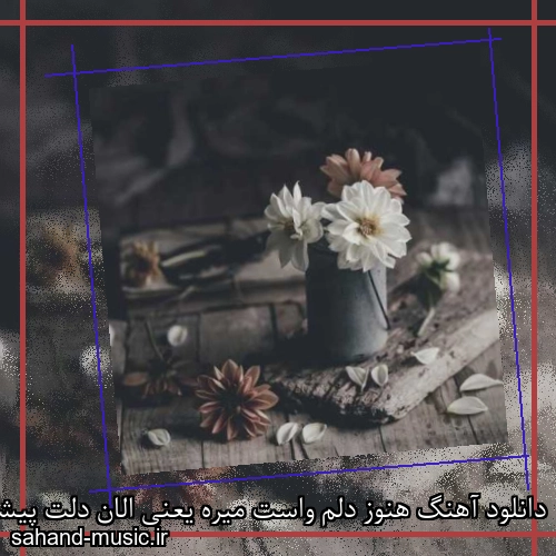 دانلود آهنگ هنوز دلم واست میره یعنی الان دلت پیشمه
