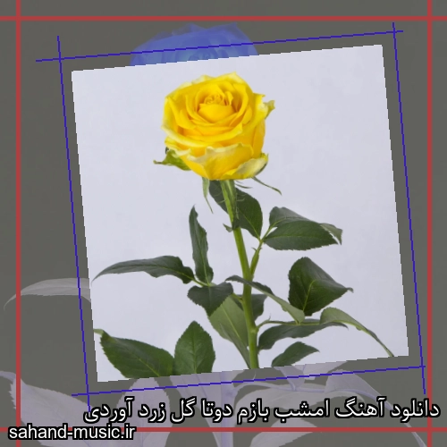 دانلود آهنگ امشب بازم دوتا گل زرد آوردی