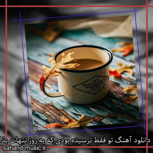 دانلود آهنگ تو فقط ترسیده بودی که یه روز تنهات بذارم