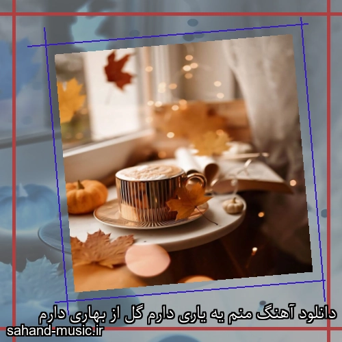 دانلود آهنگ منم یه یاری دارم گل از بهاری دارم