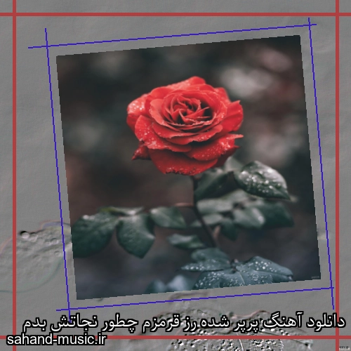 دانلود آهنگ پرپر شده رز قرمزم چطور نجاتش بدم
